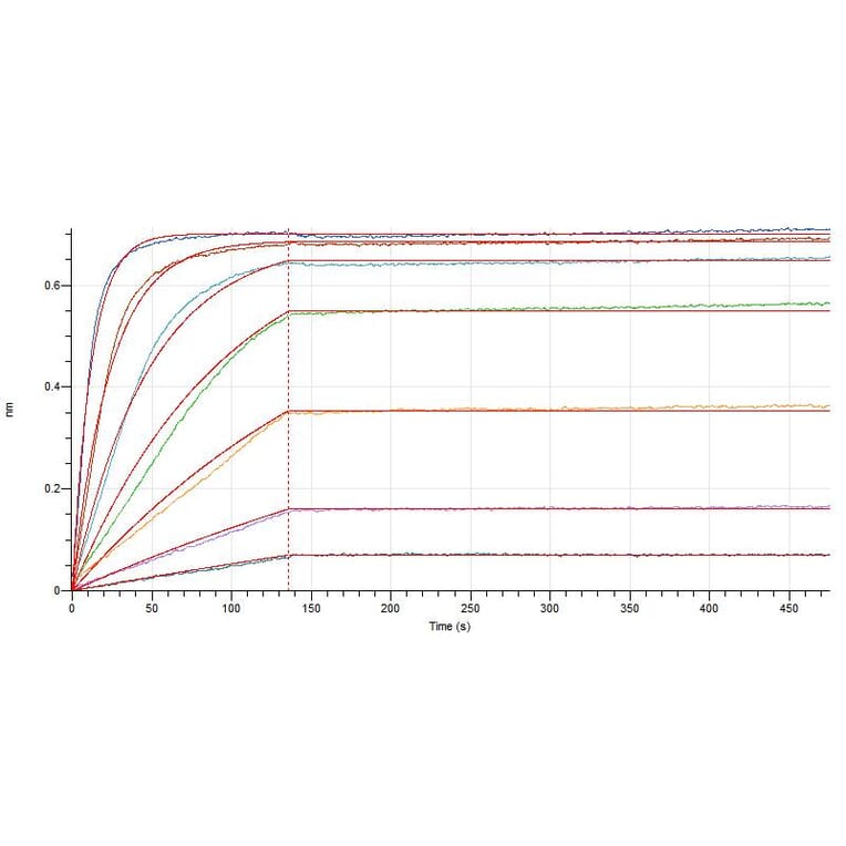 BLI Assay - Recombinant Human IL-4 Protein (Fc Tag) (A317575) - Antibodies.com