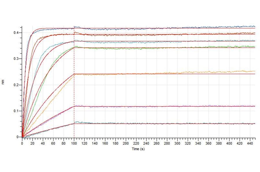 BLI Assay - Recombinant Human IL-4 Protein (Fc Tag) (A317575) - Antibodies.com
