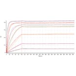 BLI Assay - Recombinant Human IL-4 Protein (Fc Tag) (A317575) - Antibodies.com