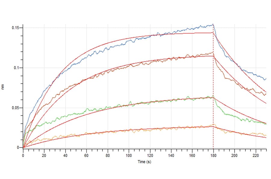 BLI Assay - Recombinant Human IL-3 Protein (A317581) - Antibodies.com