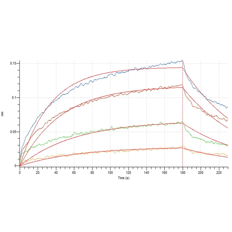 BLI Assay - Recombinant Human IL-3 Protein (A317581) - Antibodies.com