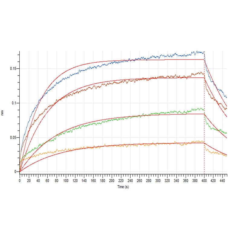 BLI Assay - Recombinant Human IL-3 Protein (A317581) - Antibodies.com