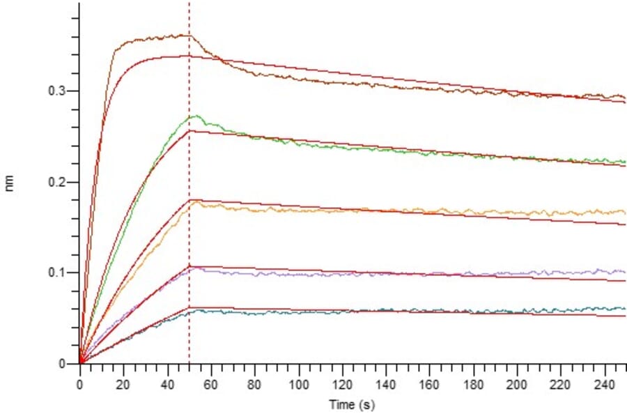 BLI Assay - Recombinant Human IL-2 Protein (mutated L100F + R101D + L105V + I106V + I112F) (6×His Tag) (A317605) - Antibodies.com