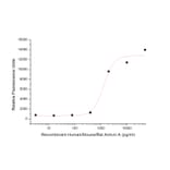 ELISA - Recombinant Human/Mouse/Rat Inhibin beta A Protein (A317621) - Antibodies.com