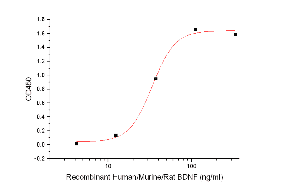 Cell Proliferation Assay - Recombinant Human IL-7 Protein (A317631) - Antibodies.com