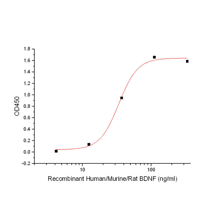 Cell Proliferation Assay - Recombinant Human IL-7 Protein (A317631) - Antibodies.com