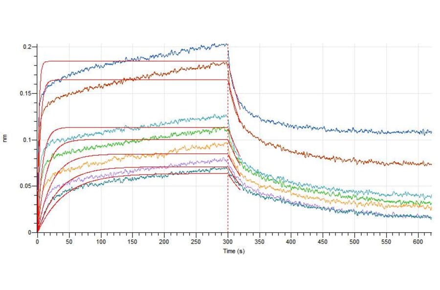 BLI Assay Assay - Recombinant Human IL-7 Protein (A317631) - Antibodies.com
