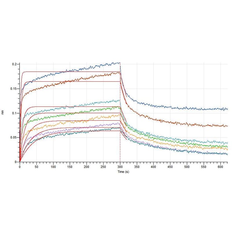 BLI Assay Assay - Recombinant Human IL-7 Protein (A317631) - Antibodies.com