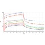 BLI Assay Assay - Recombinant Human IL-7 Protein (A317631) - Antibodies.com