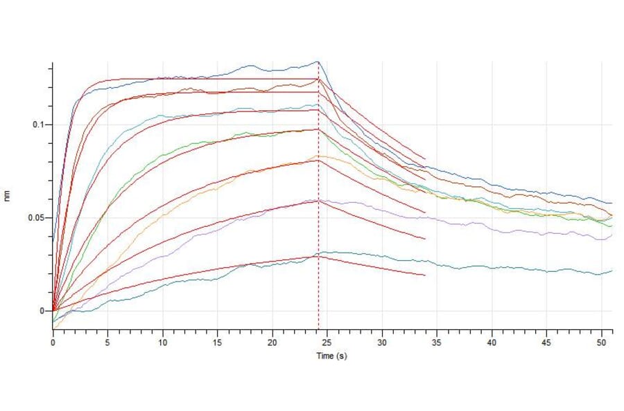 BLI Assay - Recombinant Human IL-7 Protein (A317631) - Antibodies.com