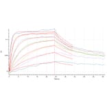 BLI Assay - Recombinant Human IL-7 Protein (A317631) - Antibodies.com