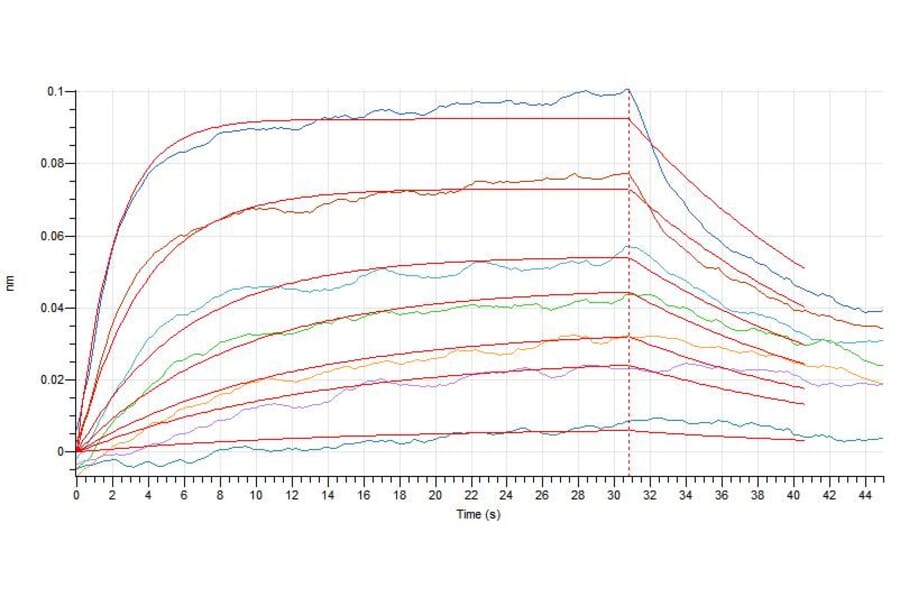 BLI Assay - Recombinant Human IL-7 Protein (A317631) - Antibodies.com