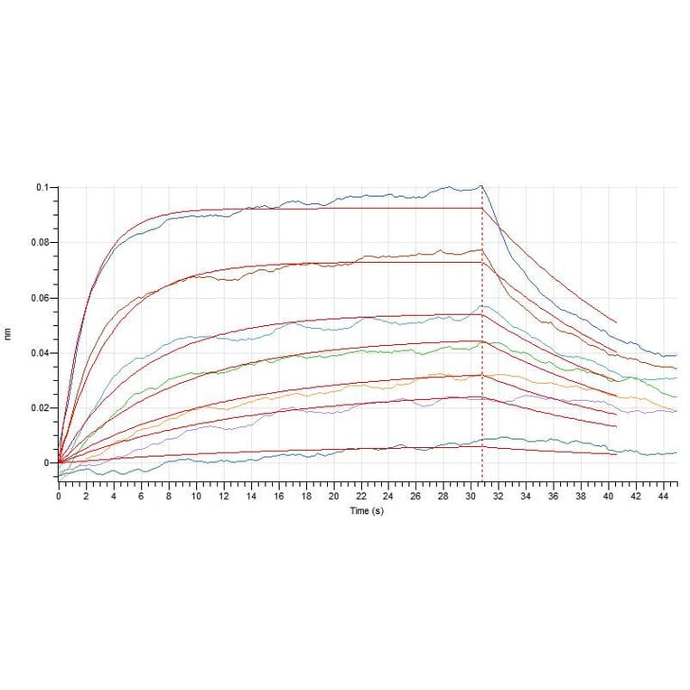 BLI Assay - Recombinant Human IL-7 Protein (A317631) - Antibodies.com