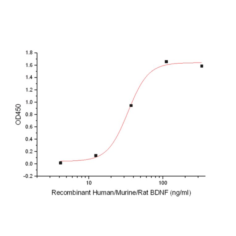 ELISA - Recombinant Human/Murine/Rat BDNF Protein (A317632) - Antibodies.com