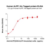 ELISA - Recombinant Human Placental Alkaline Phosphatase (PLAP) Protein (6×His Tag) (A317734) - Antibodies.com