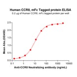 ELISA - Recombinant Human CCR8 Protein (Fc Tag) (A317861) - Antibodies.com