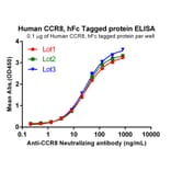 ELISA - Recombinant Human CCR8 Protein (Fc Tag) (A317867) - Antibodies.com