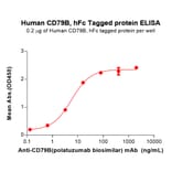 ELISA - Recombinant Human CD79b Protein (Fc Tag) (A317868) - Antibodies.com