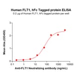 ELISA - Recombinant Human VEGF Receptor 1 Protein (Fc Tag) (A317892) - Antibodies.com