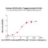 ELISA - Recombinant Human VEGFA Protein (Fc Tag) (A317893) - Antibodies.com