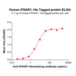 ELISA - Recombinant Human Interferon alpha/beta Receptor 1 Protein (6×His Tag) (A317909) - Antibodies.com