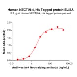ELISA - Recombinant Human Nectin 4 Protein (6×His Tag) (A317935) - Antibodies.com