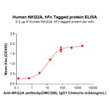 ELISA - Recombinant Human NKG2A Protein (Fc Tag) (A317948) - Antibodies.com