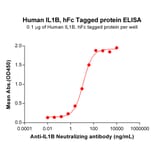 ELISA - Recombinant Human IL-1 beta Protein (Fc Tag) (A317954) - Antibodies.com