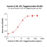 ELISA - Recombinant Human IL-1 beta Protein (Fc Tag) (A317954) - Antibodies.com