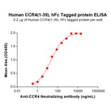 ELISA - Recombinant Human CCR4 Protein (Fc Tag) (A317967) - Antibodies.com