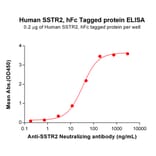 ELISA - Recombinant Human Somatostatin Receptor 2 Protein (Fc Tag) (A317976) - Antibodies.com