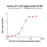 ELISA - Recombinant Human SLC39A6/ZIP-6 Protein (6×His Tag) (A318015) - Antibodies.com