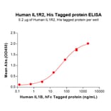 ELISA - Recombinant Human IL-1R-2 Protein (6×His Tag) (A318024) - Antibodies.com