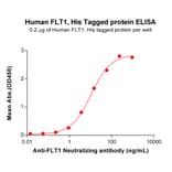 ELISA - Recombinant Human VEGF Receptor 1 Protein (6×His Tag) (A318038) - Antibodies.com