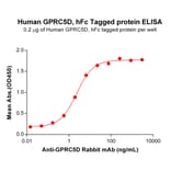 ELISA - Recombinant Human GPCR GPRC5D Protein (Fc Tag) (A318068) - Antibodies.com
