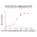 ELISA - Recombinant Human E Cadherin Protein (Fc Tag) (A318071) - Antibodies.com