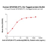 ELISA - Recombinant Human GFAP Protein (6×His Tag) (A318077) - Antibodies.com