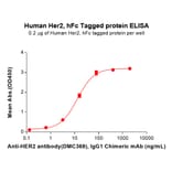ELISA - Recombinant Human ErbB2/HER2 Protein (Fc Tag) (A318079) - Antibodies.com