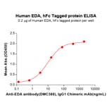 ELISA - Recombinant Human EDA Protein (Fc Tag) (A318083) - Antibodies.com