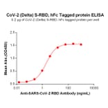 ELISA - Recombinant SARS-CoV-2 Spike Glycoprotein RBD (Delta B.1.617.2 Variant) (Fc Tag) (A318086) - Antibodies.com