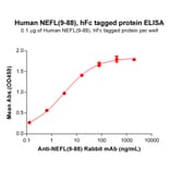 ELISA - Recombinant Human 68kDa Neurofilament/NF-L Protein (Fc Tag) (A318090) - Antibodies.com