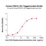 ELISA - Recombinant Human FZD10 Protein (Fc Tag) (A318093) - Antibodies.com