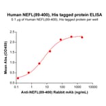ELISA - Recombinant Human 68kDa Neurofilament/NF-L Protein (6×His Tag) (A318095) - Antibodies.com