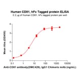 ELISA - Recombinant Human CD81 Protein (Fc Tag) (A318147) - Antibodies.com