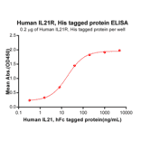 ELISA - Recombinant Human IL-21R Protein (6×His Tag) (A318154) - Antibodies.com