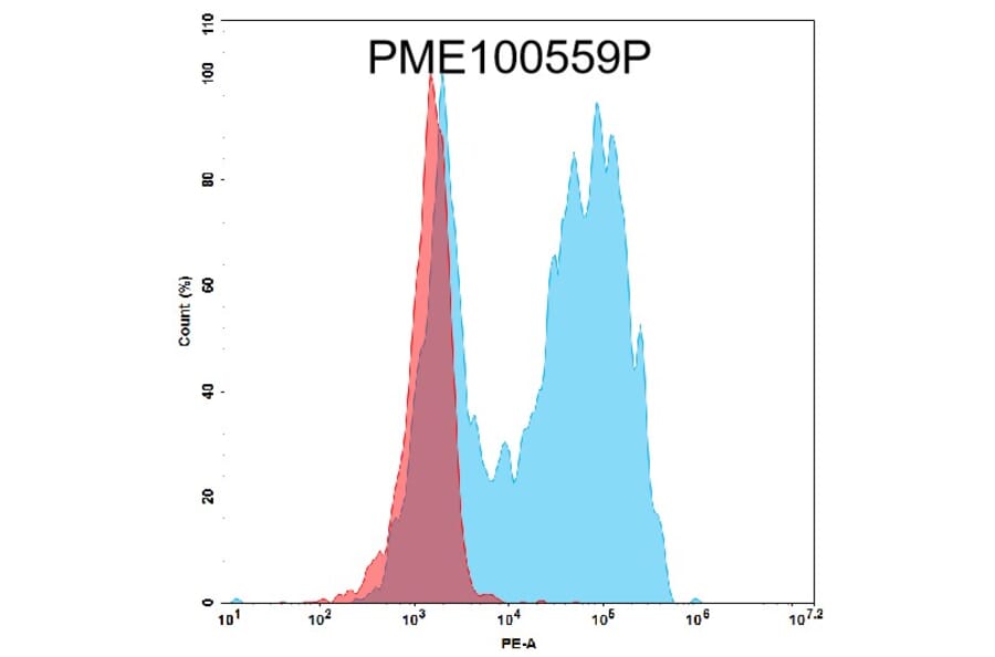 Flow Cytometry - Recombinant Human GPCR GPRC5D Protein (Fc Tag) (A318178) - Antibodies.com