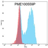 Flow Cytometry - Recombinant Human GPCR GPRC5D Protein (Fc Tag) (A318178) - Antibodies.com