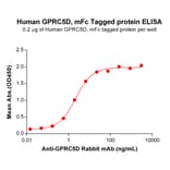 ELISA - Recombinant Human GPCR GPRC5D Protein (Fc Tag) (A318179) - Antibodies.com