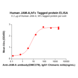 ELISA - Recombinant Human Junctional Adhesion Molecule 1/JAM-A Protein (Fc Tag) (A318184) - Antibodies.com