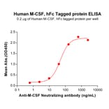 ELISA - Recombinant Human M-CSF Protein (Fc Tag) (A318188) - Antibodies.com